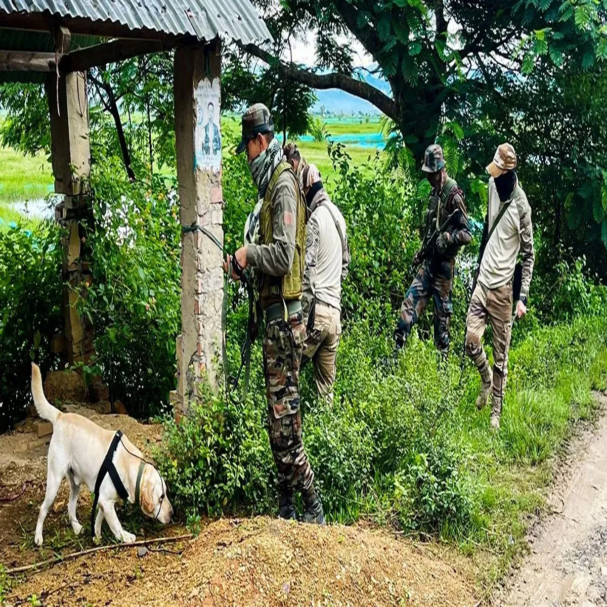 Securityoperation mob attacks assam rifles camp