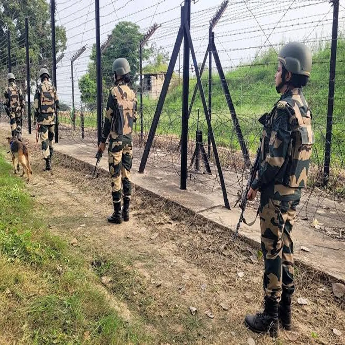 Bordersecurity security forces intensify searches after