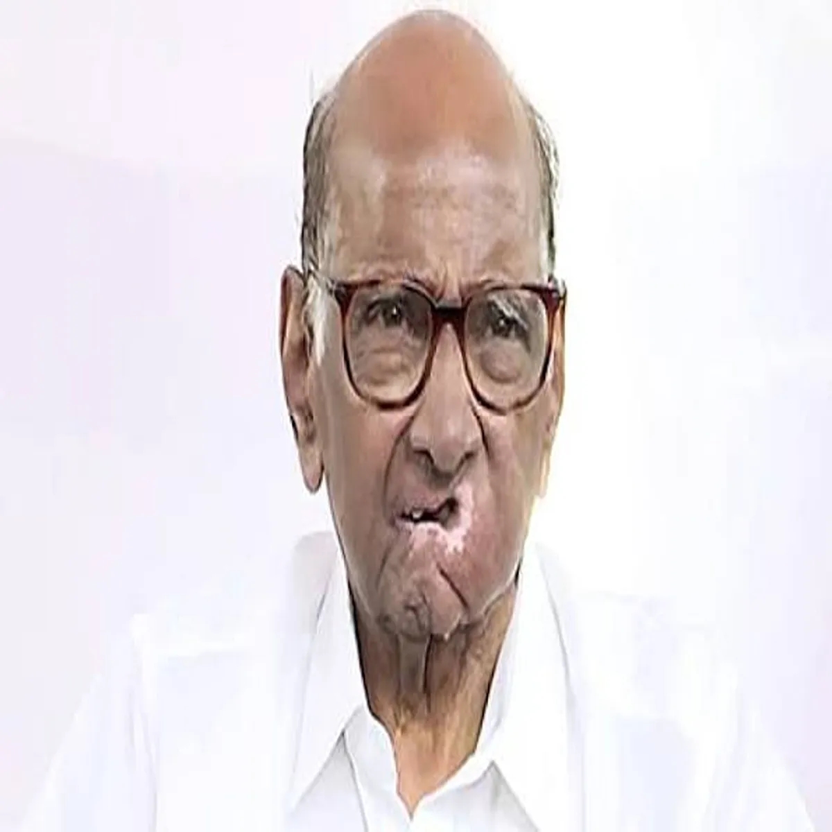 Ndapolitics sharad pawar faces tough choice