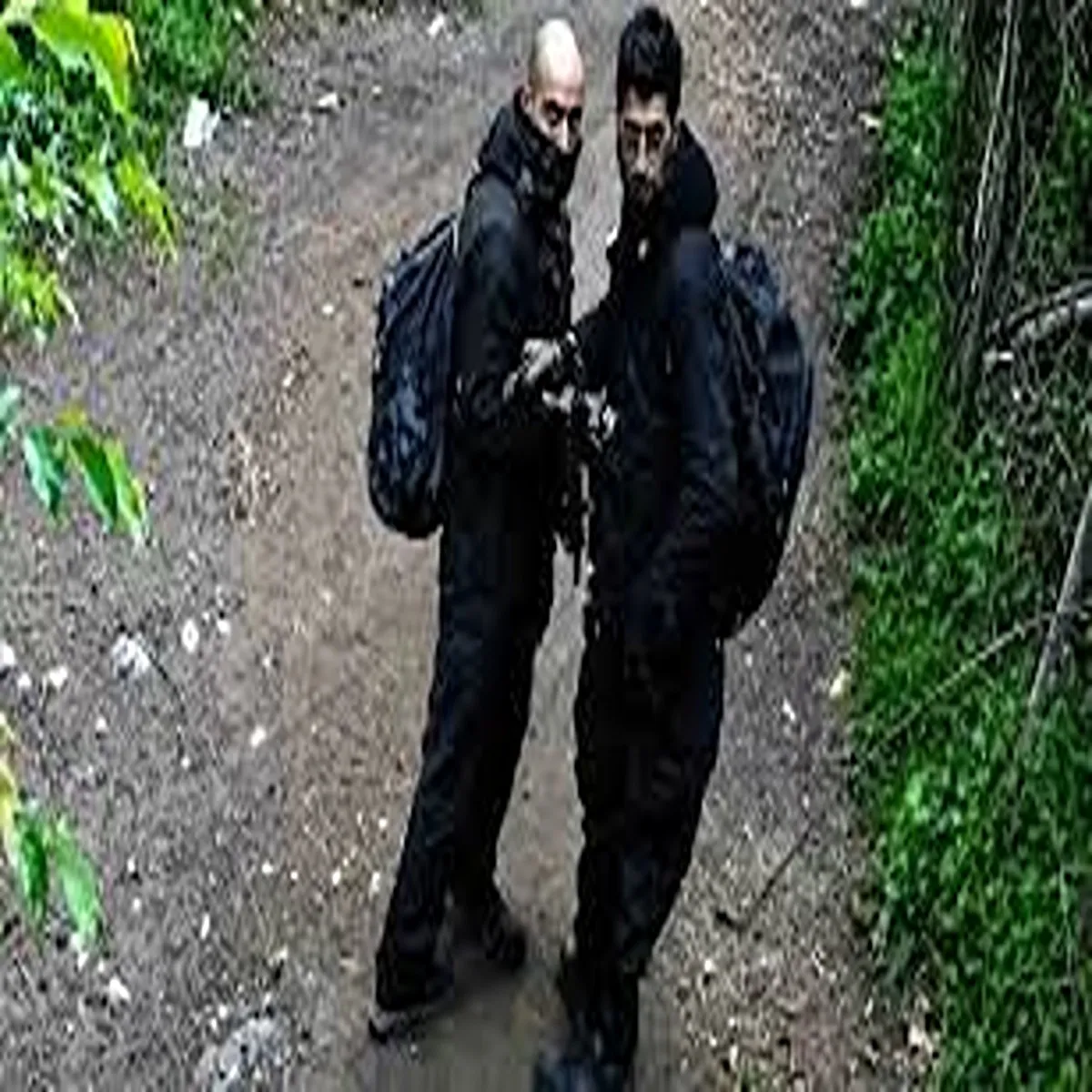 Shopian let commander killed during continuing
