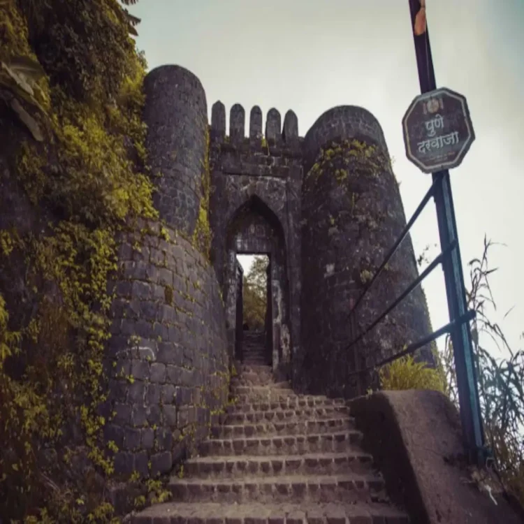 Sinhagad fort fake poster probe
