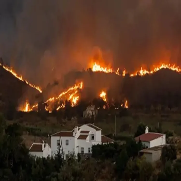 Spain almeria wildfire death toll
