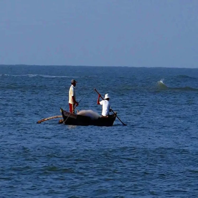Sri lanka navy detains indian fishermen