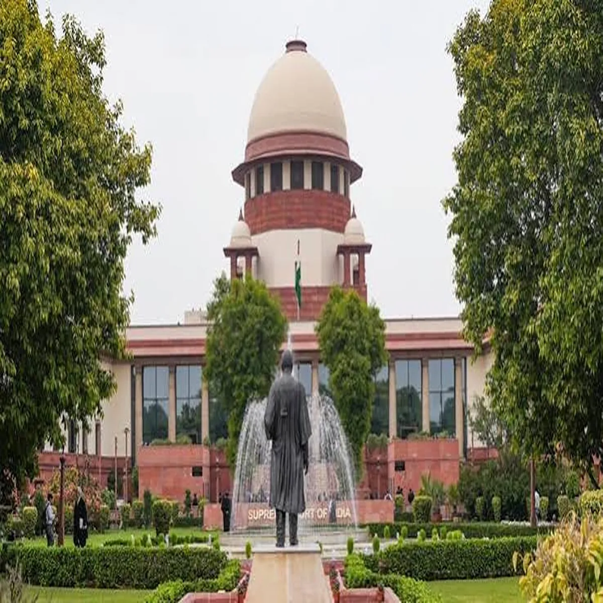 Citizenship supreme court orders fresh review