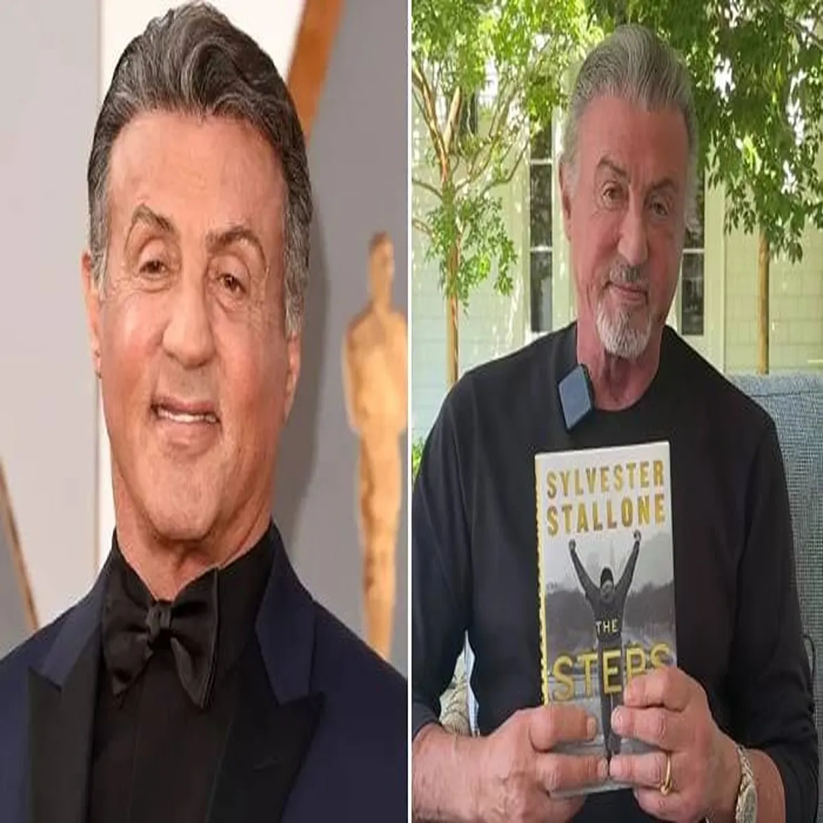 Memoir sylvester stallone reflects life challenges