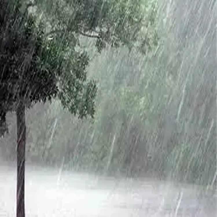 Tamil nadu weather rain alert