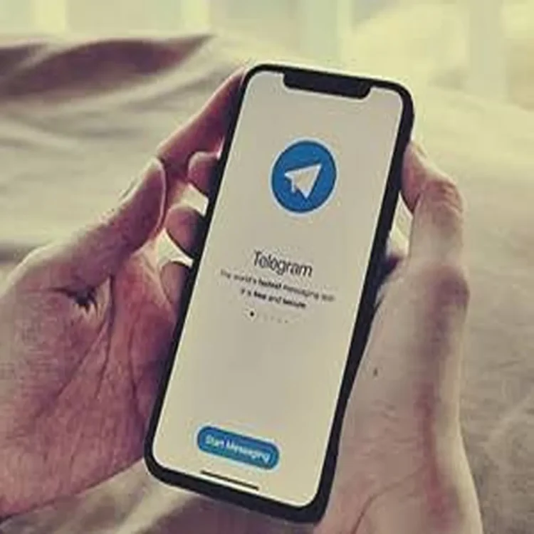 Telegram centre action pirated film content
