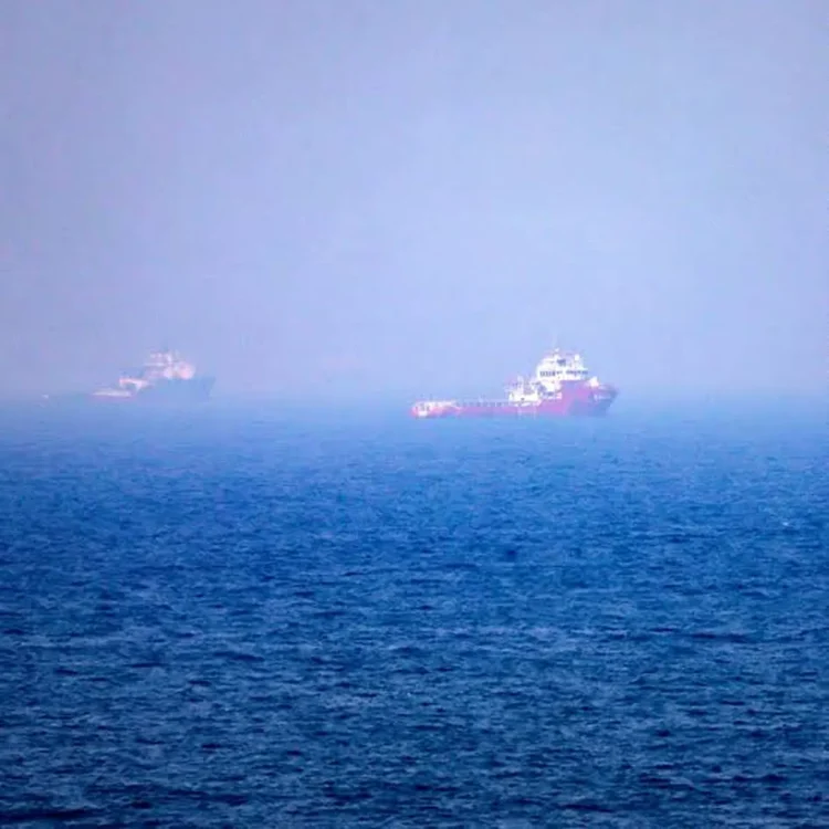 Trump gulf nations hormuz security costs