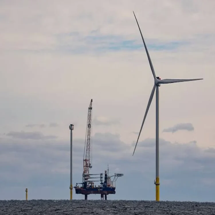 Trump opposes new wind farms policy