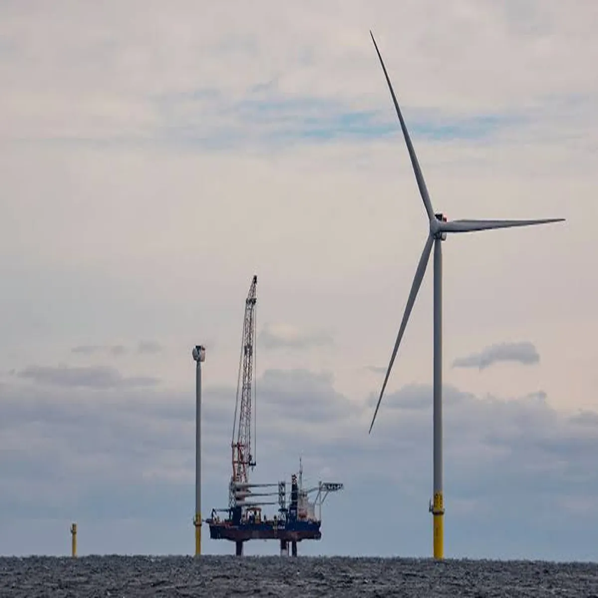 Trump energy policy president renews opposition