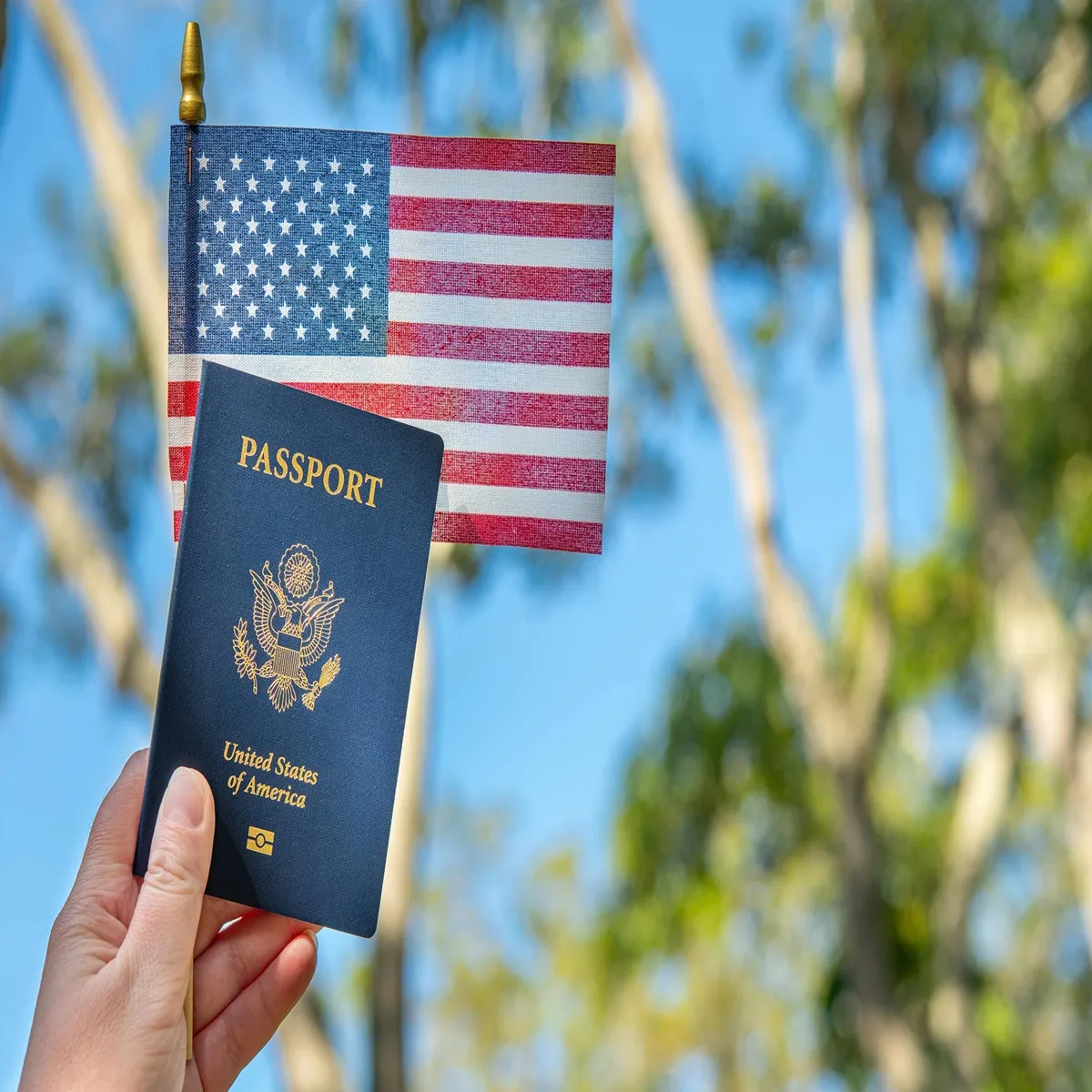 Immigration lawmaker urges faster visa processing