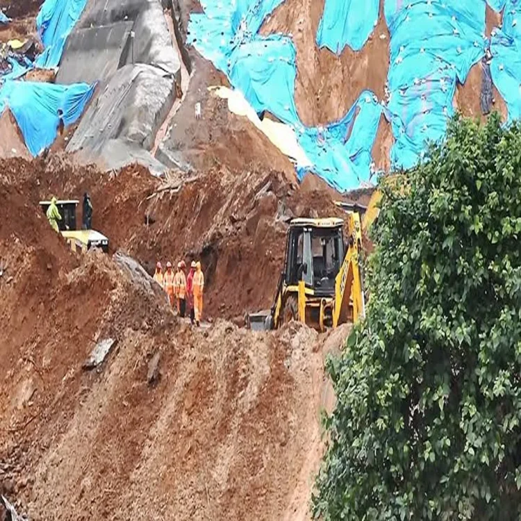 Wayanad landslide two bodies recovered