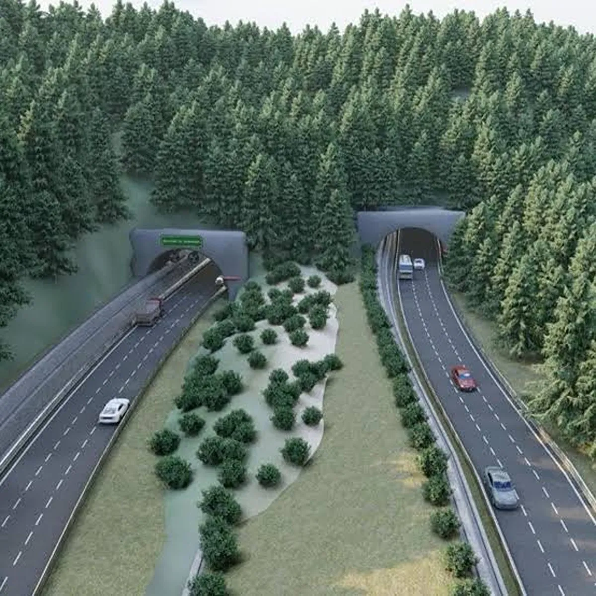 Wildlifecorridor wii raises objections uttarakhand road