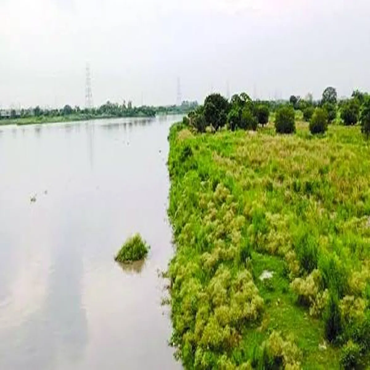 Yamuna floodplain ngt seeks fresh action