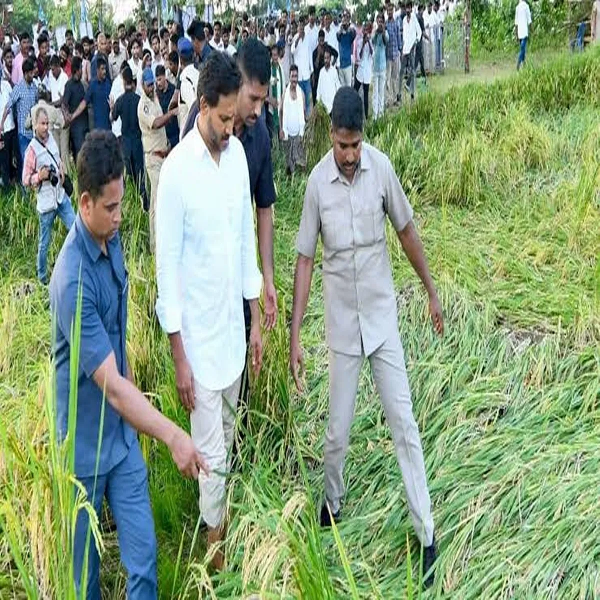 Farmers ysrcp accuses andhra pradesh government