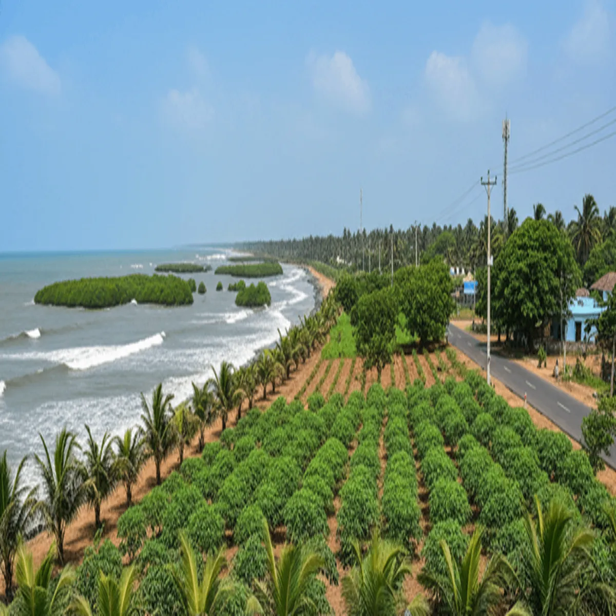 Forest conservation andhra pradesh speeds great