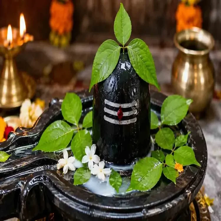 Belpatra shiva worship guidelines