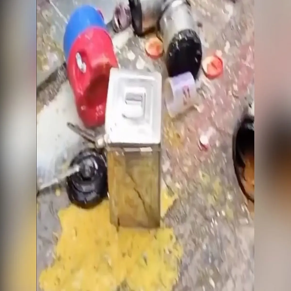 Delhipolice janakpuri street vendor video triggers
