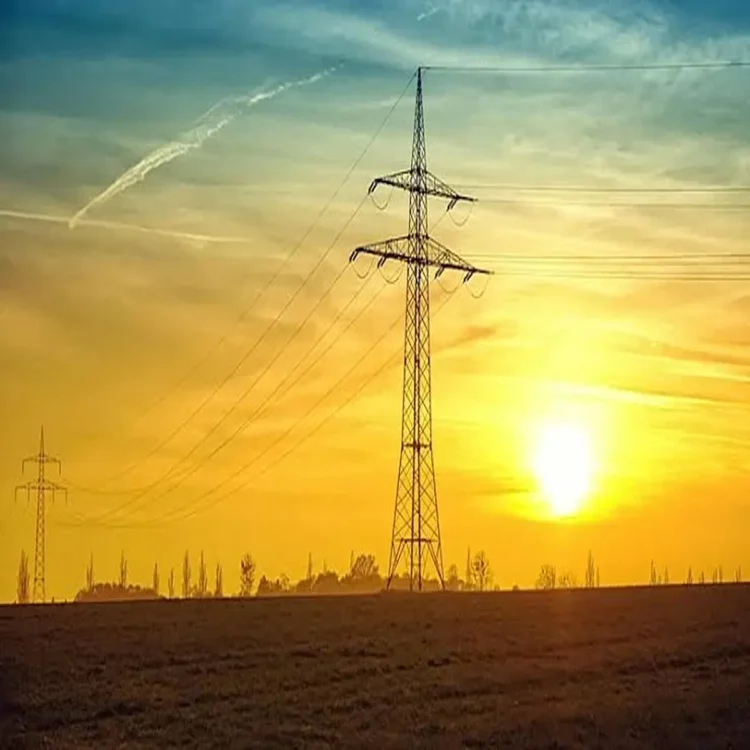 Delhi power subsidy cag report