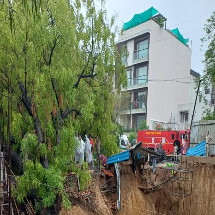 Delhi rainfall collapse tree calls