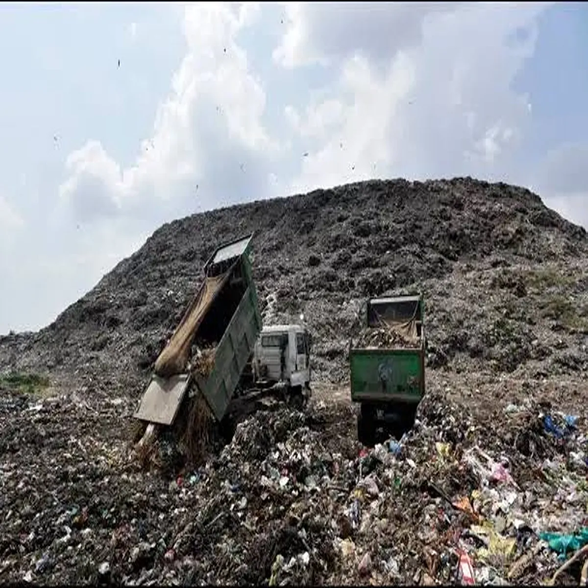 Waste management delhi targets full daily
