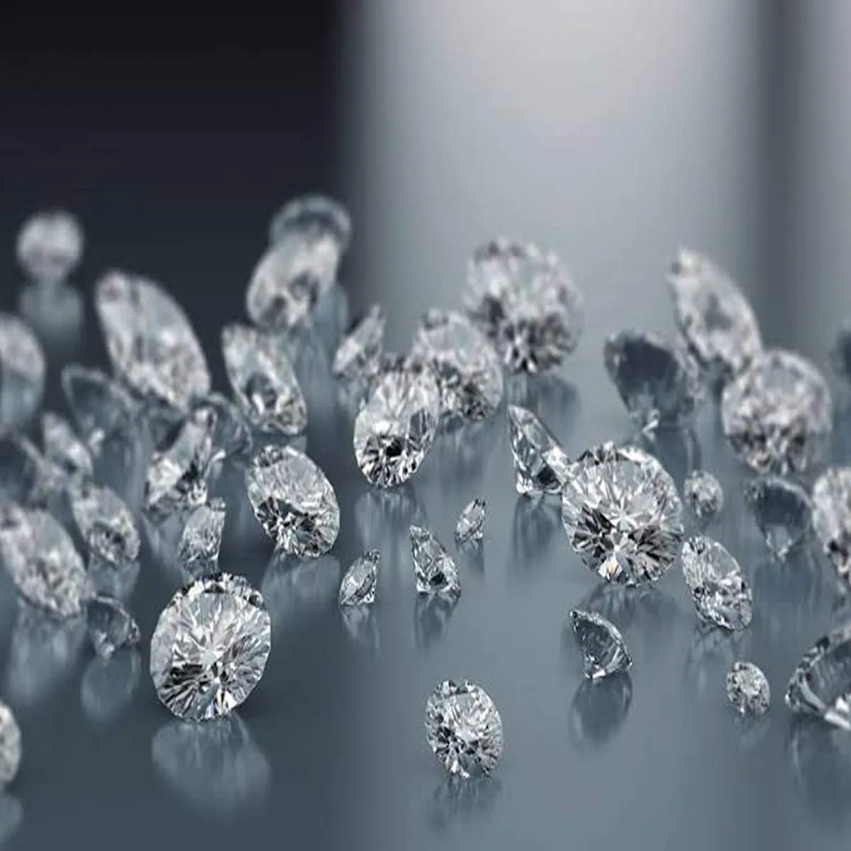 Diamond fraud bkc police search trader
