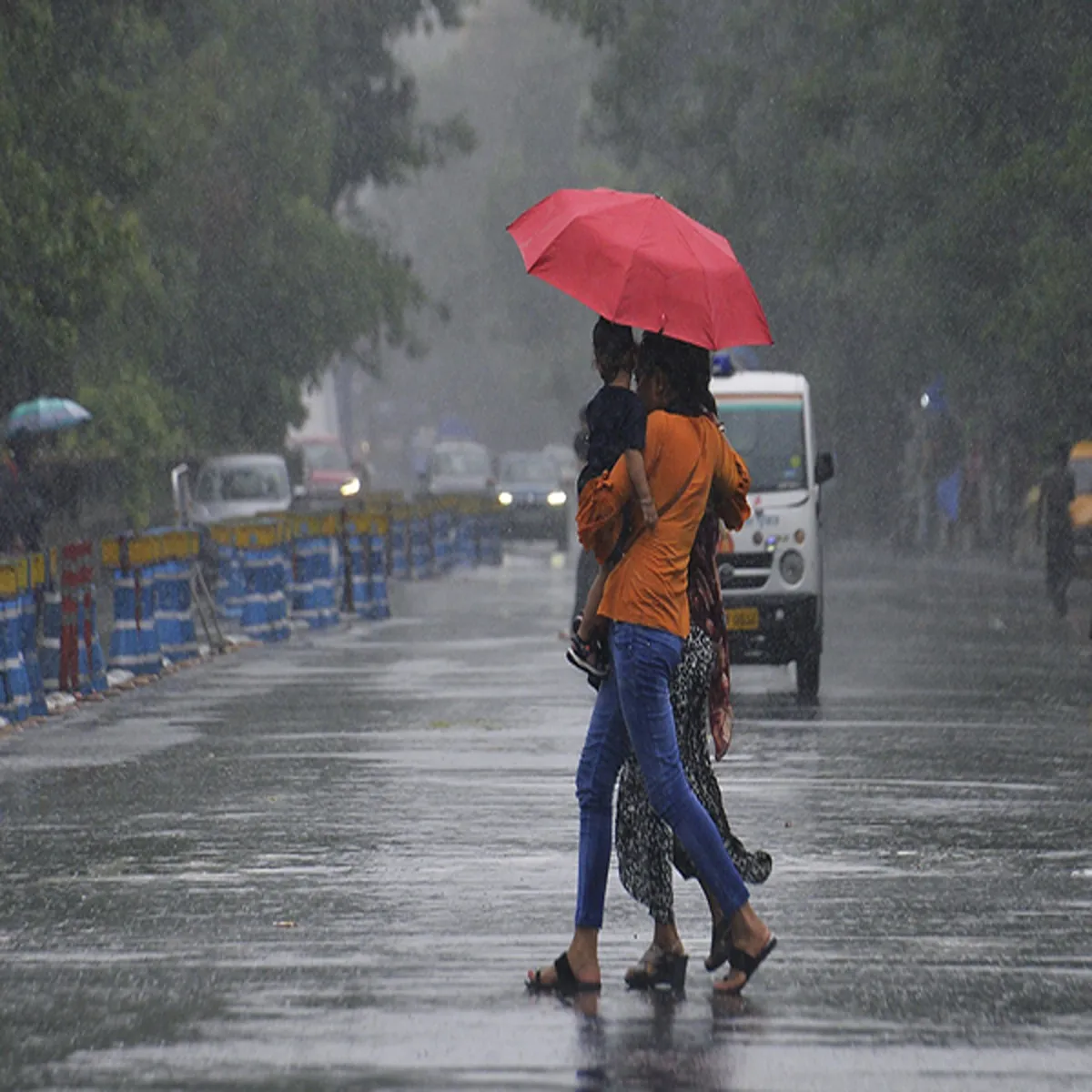 Kerala rainfall eight districts shut educational