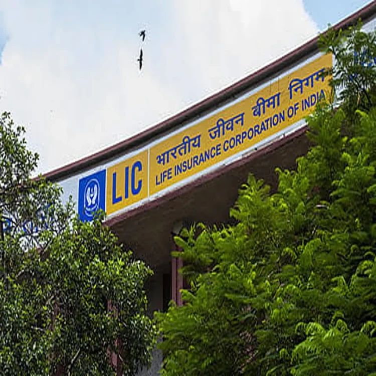 Lic government stake sale stock decline