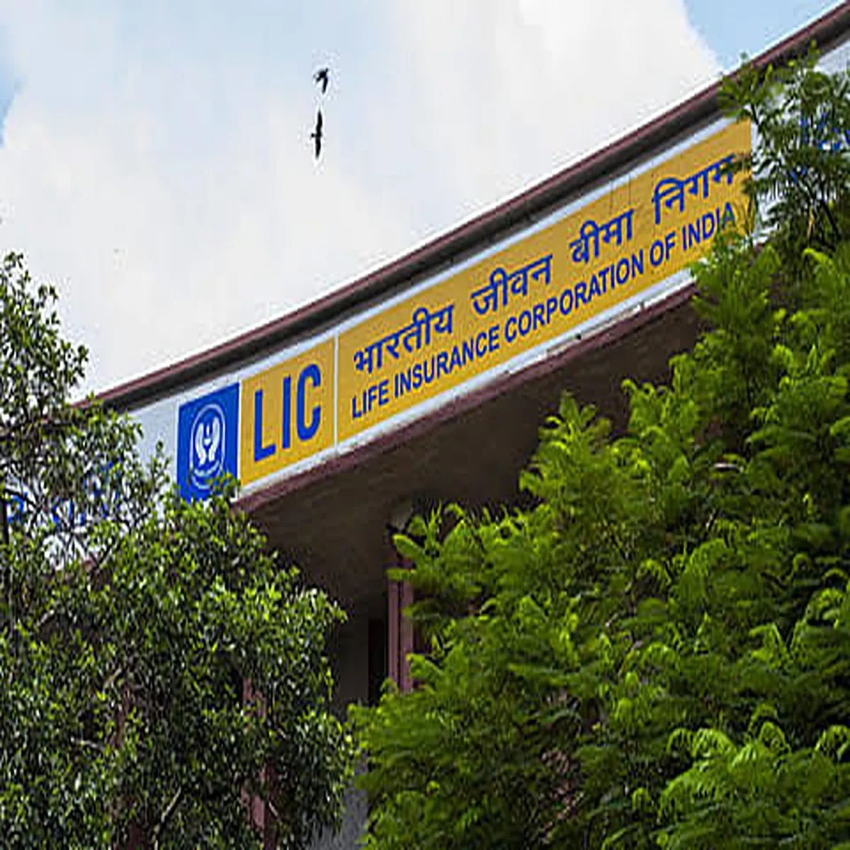 Lic stock government stake sale announcement