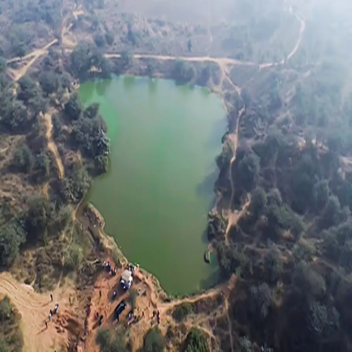 Forestland ngt seeks response over alleged
