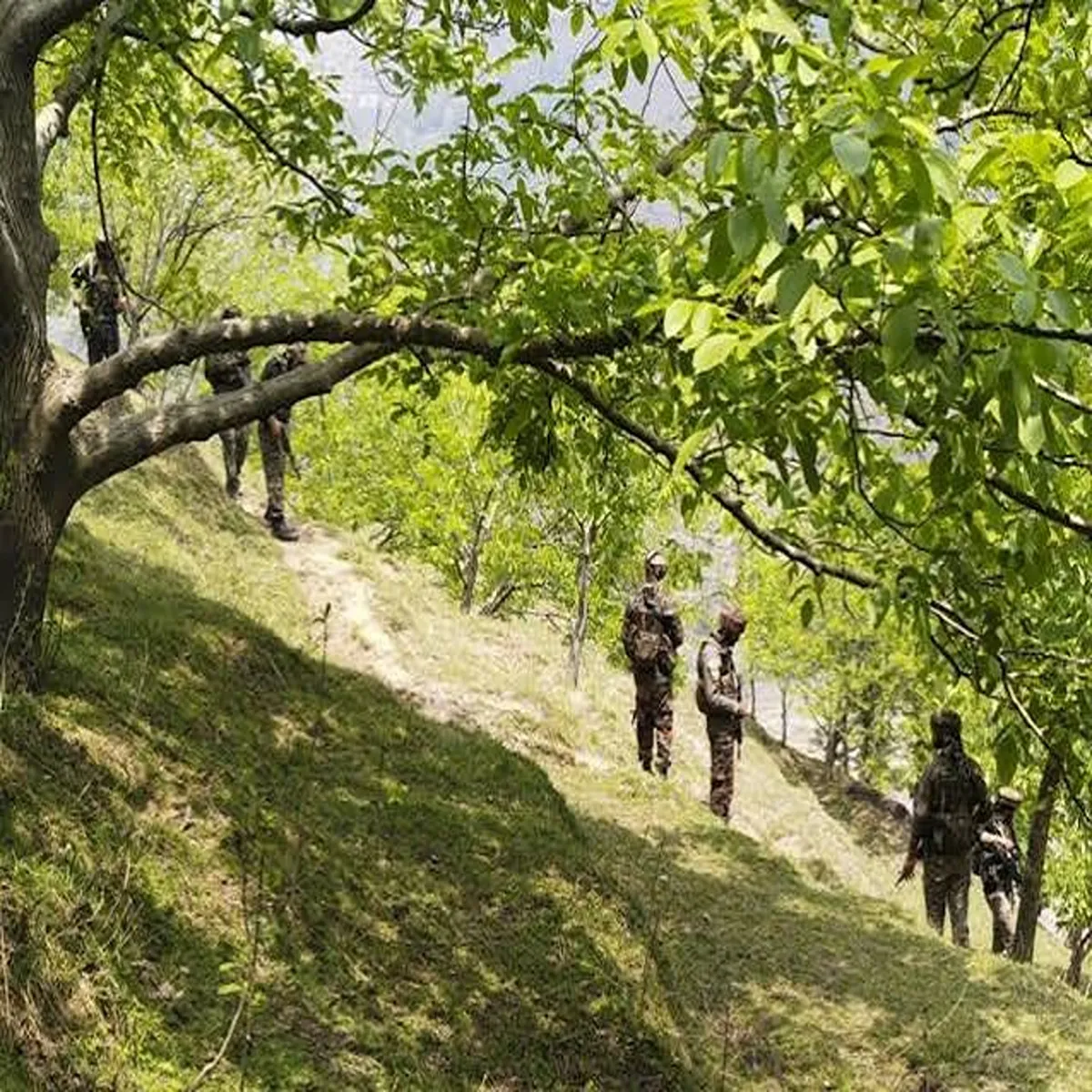 Security search operation intensifies after terror