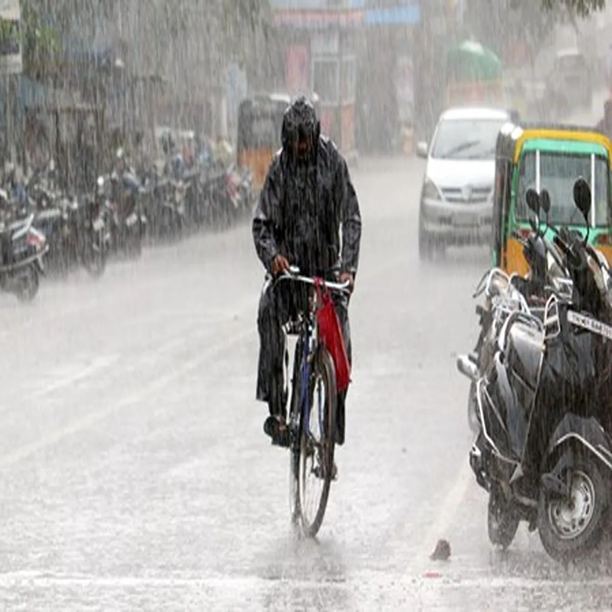 Weather heavy rain strong winds forecast