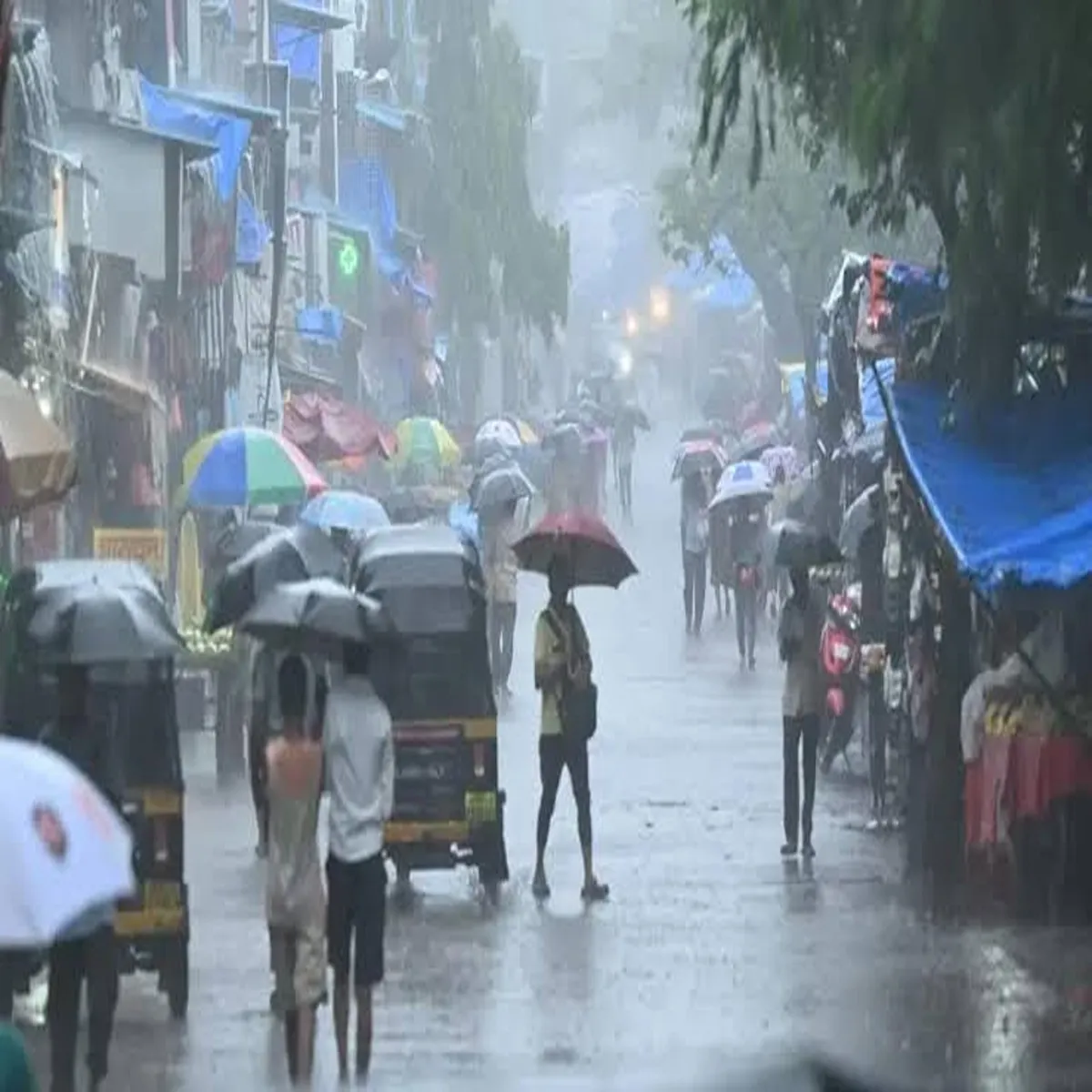 Rainfall heavy showers strong winds forecast