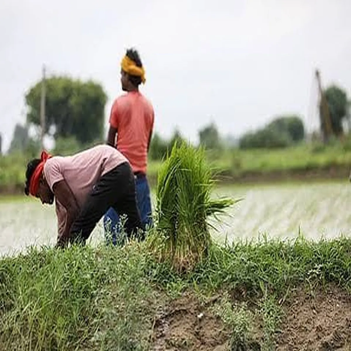 Agriculture tamil nadu unveils 600 crore