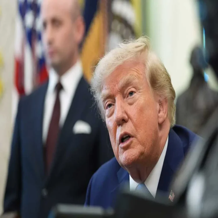 Trump birth tourism citizenship rules