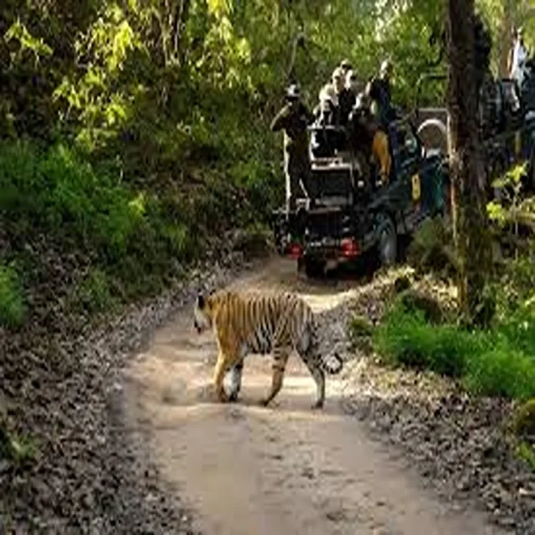 Wildlife north india rescue animal sightings