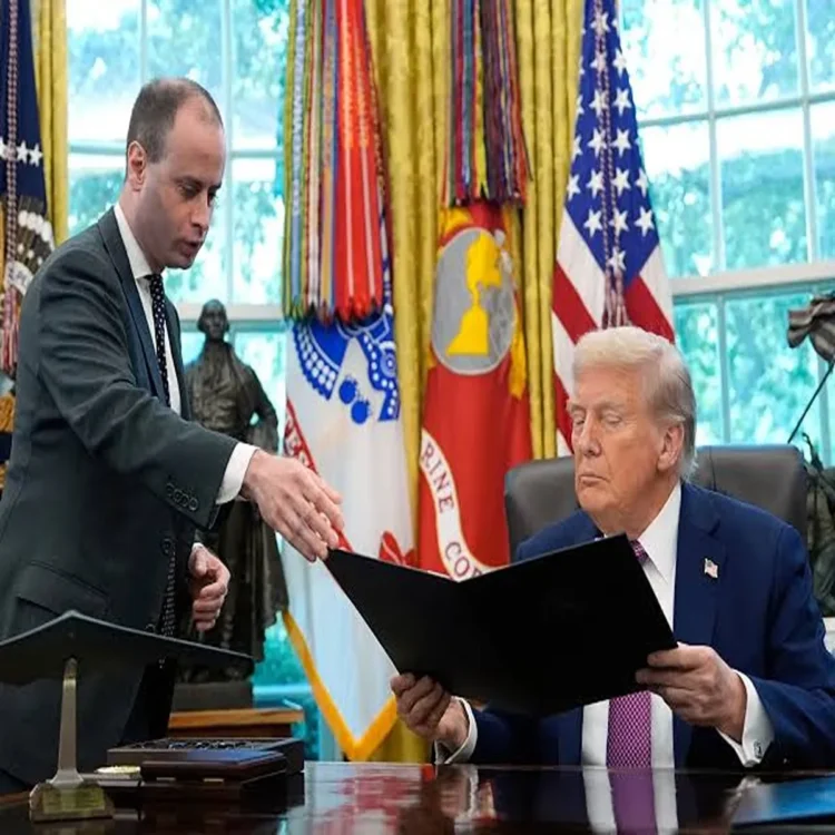 Will scharf white house counsel