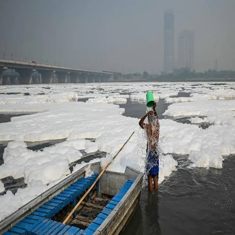 Yamuna water pollution quality report update