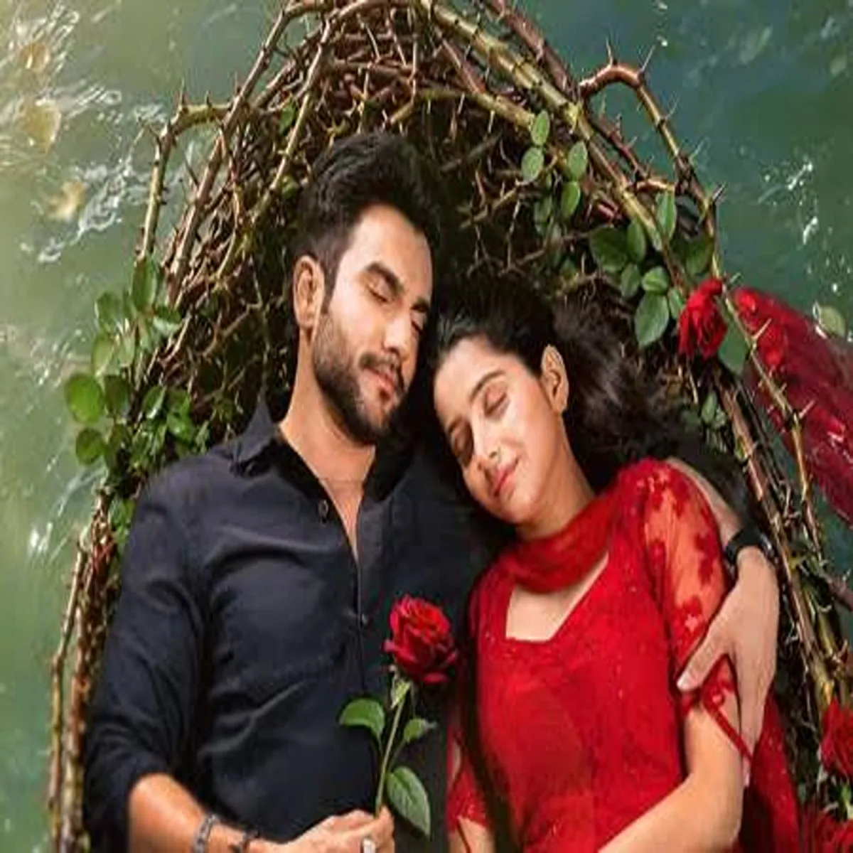 Yeh fitoor tera star plus unveils